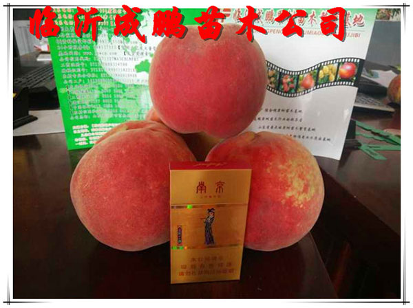 金秋王桃