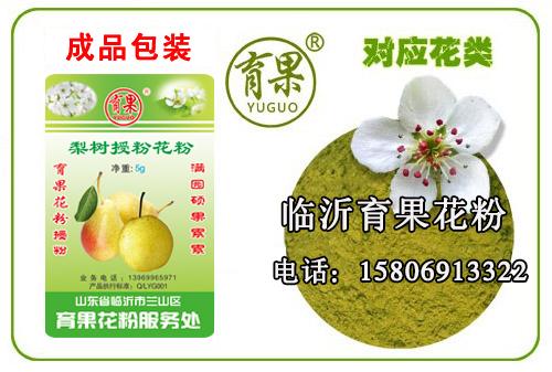 梨花粉批发